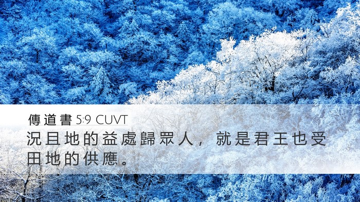 傳 道 書 5:9 CUVT Desktop Wallpaper - 況 且 地 的 益 處 歸 眾 人 ， 就 是 - Desktop Bible Verse Wallpaper