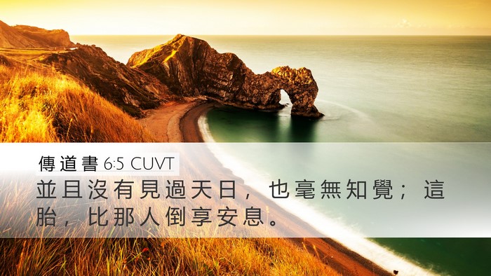 傳 道 書 6:5 CUVT Desktop Wallpaper - 並 且 沒 有 見 過 天 日 ， 也 毫 無 - Desktop Bible Verse Wallpaper