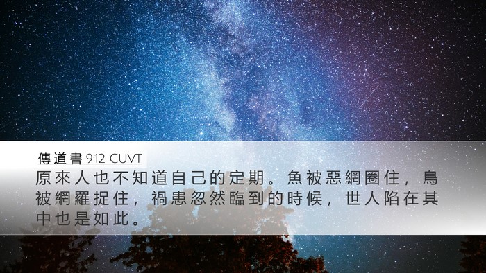 傳 道 書 9:12 CUVT Bible Verse Image