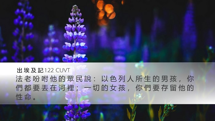 出 埃 及 記 1:22 CUVT Bible Verse Image