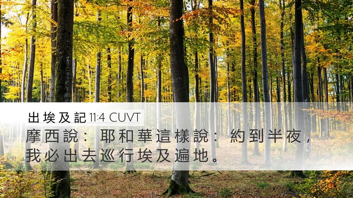 出 埃 及 記 11:4 CUVT Bible Verse Image