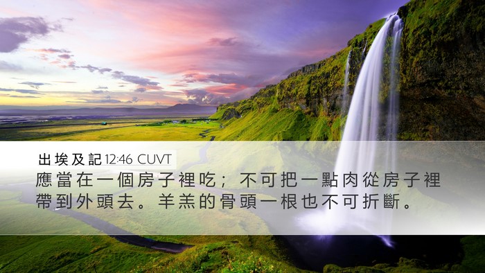 出 埃 及 記 12:46 CUVT Desktop Wallpaper - 應 當 在 一 個 房 子 裡 吃 ； 不 可 - Desktop Bible Verse Wallpaper