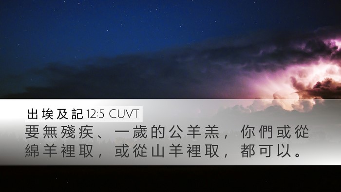 出 埃 及 記 12:5 CUVT Bible Verse Image