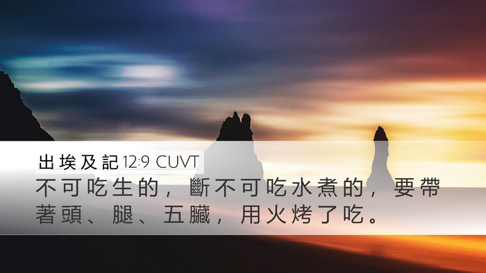 出 埃 及 記 12:9 CUVT Desktop Wallpaper - 不 可 吃 生 的 ， 斷 不 可 吃 水 煮 - Desktop Bible Verse Wallpaper
