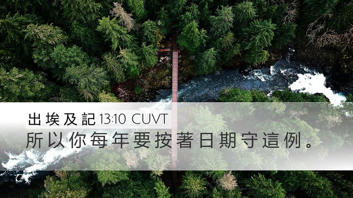 出 埃 及 記 13:10 CUVT Desktop Wallpaper - 所 以 你 每 年 要 按 著 日 期 守 這 - Desktop Bible Verse Wallpaper