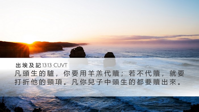 出 埃 及 記 13:13 CUVT Desktop Wallpaper - 凡 頭 生 的 驢 ， 你 要 用 羊 羔 代 - Desktop Bible Verse Wallpaper