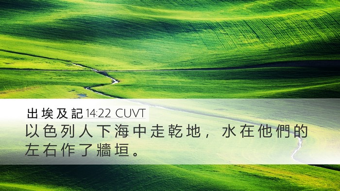 出 埃 及 記 14:22 CUVT Bible Verse Image