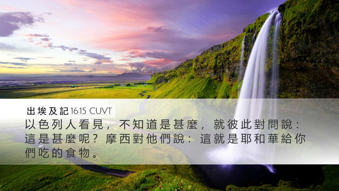 出 埃 及 記 16:15 CUVT Bible Verse Image