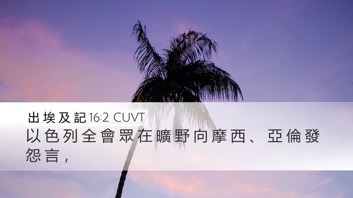 出 埃 及 記 16:2 CUVT Bible Verse Image