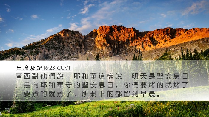 出 埃 及 記 16:23 CUVT Bible Verse Image