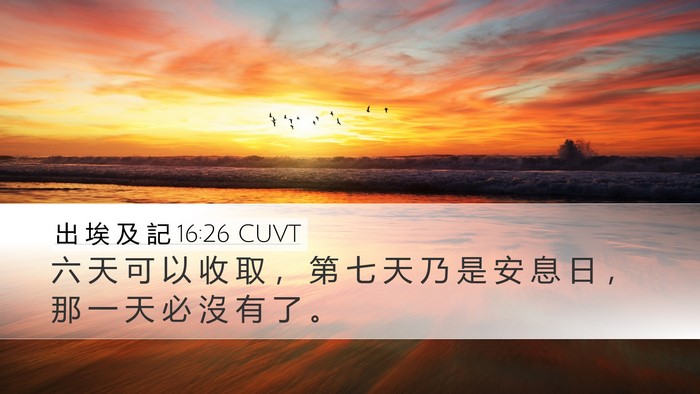 出 埃 及 記 16:26 CUVT Desktop Wallpaper - 六 天 可 以 收 取 ， 第 七 天 乃 是 - Desktop Bible Verse Wallpaper