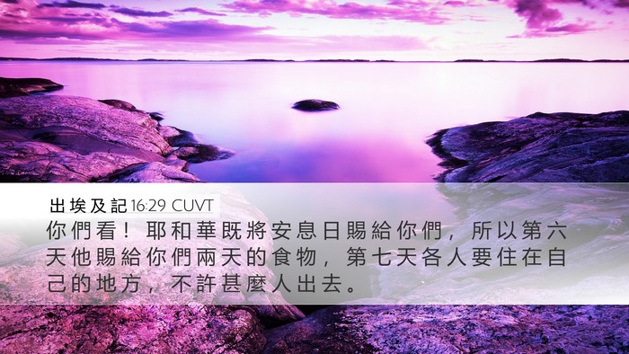 出 埃 及 記 16:29 CUVT Bible Verse Image