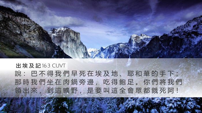 出 埃 及 記 16:3 CUVT Bible Verse Image