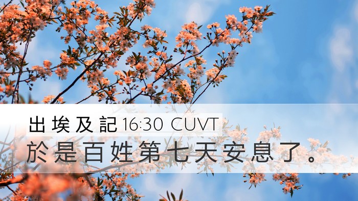 出 埃 及 記 16:30 CUVT Desktop Wallpaper - 於 是 百 姓 第 七 天 安 息 了 - Desktop Bible Verse Wallpaper