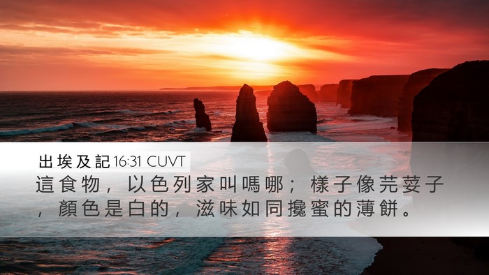 出 埃 及 記 16:31 CUVT Bible Verse Image
