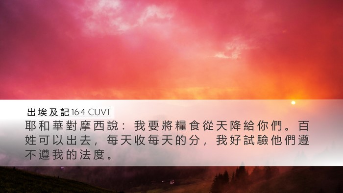 出 埃 及 記 16:4 CUVT Bible Verse Image