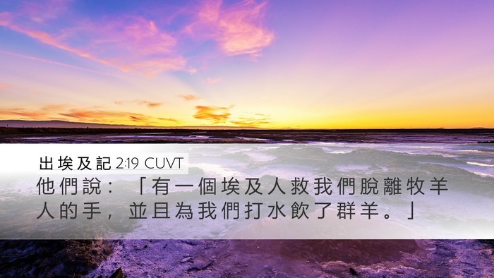 出 埃 及 記 2:19 CUVT Desktop Wallpaper - 他 們 說 ： 「 有 一 個 埃 及 人 救 - Desktop Bible Verse Wallpaper