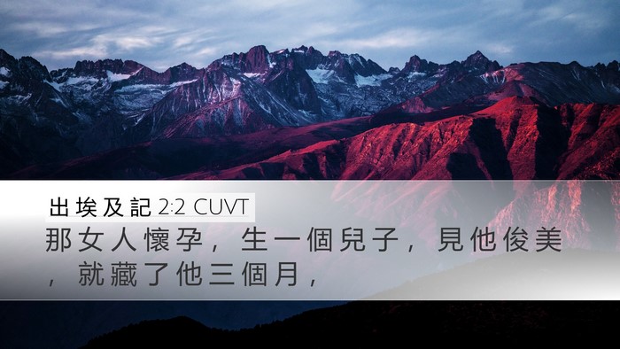 出 埃 及 記 2:2 CUVT Desktop Wallpaper - 那 女 人 懷 孕 ， 生 一 個 兒 子 ， - Desktop Bible Verse Wallpaper