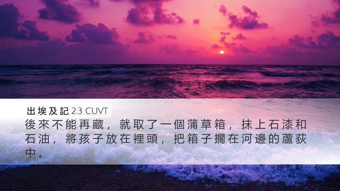 出 埃 及 記 2:3 CUVT Bible Verse Image
