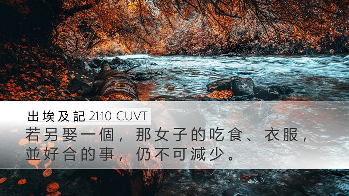 出 埃 及 記 21:10 CUVT Bible Verse Image
