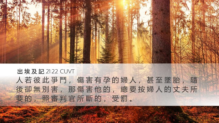 出 埃 及 記 21:22 CUVT Bible Verse Image