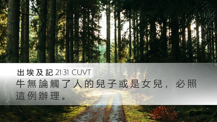 出 埃 及 記 21:31 CUVT Desktop Wallpaper - 牛 無 論 觸 了 人 的 兒 子 或 是 女 - Desktop Bible Verse Wallpaper