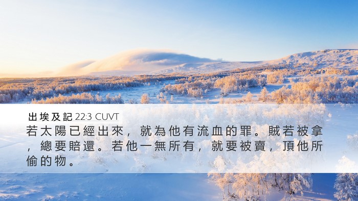 出 埃 及 記 22:3 CUVT Desktop Wallpaper - 若 太 陽 已 經 出 來 ， 就 為 他 有 - Desktop Bible Verse Wallpaper