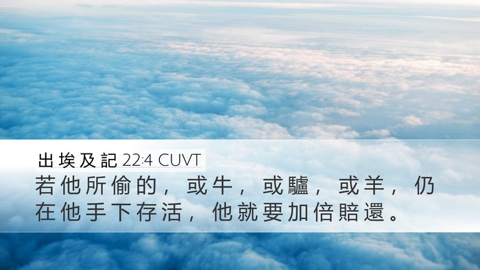 出 埃 及 記 22:4 CUVT Bible Verse Image