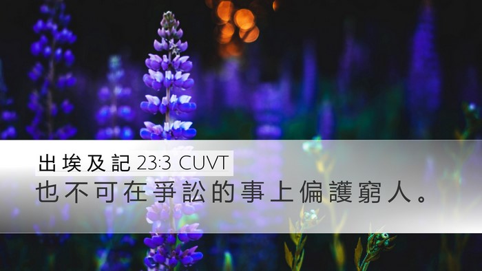 出 埃 及 記 23:3 CUVT Desktop Wallpaper - 也 不 可 在 爭 訟 的 事 上 偏 護 窮 - Desktop Bible Verse Wallpaper