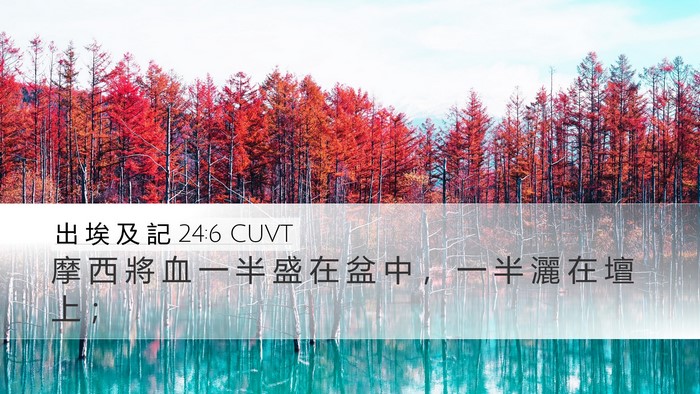 出 埃 及 記 24:6 CUVT Bible Verse Image