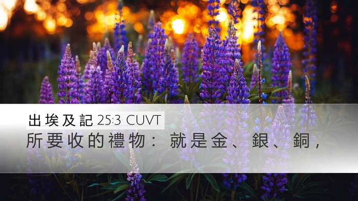 出 埃 及 記 25:3 CUVT Desktop Wallpaper - 所 要 收 的 禮 物 ： 就 是 金 、 銀 - Desktop Bible Verse Wallpaper