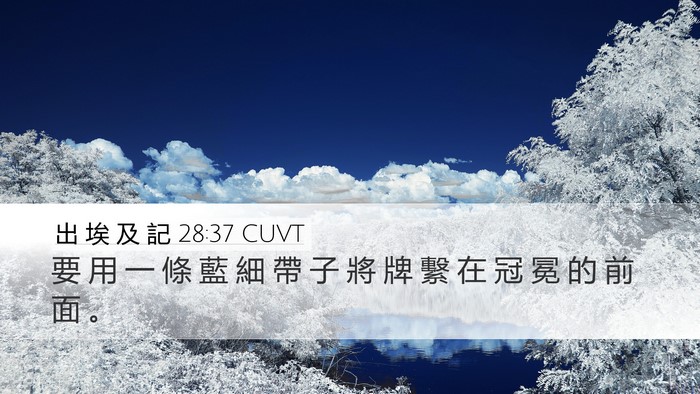 出 埃 及 記 28:37 CUVT Bible Verse Image