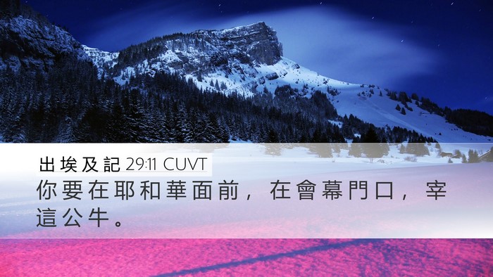 出 埃 及 記 29:11 CUVT Bible Verse Image
