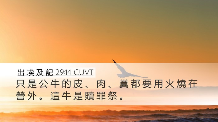 出 埃 及 記 29:14 CUVT Bible Verse Image