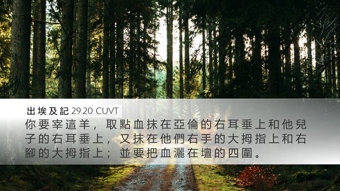 出 埃 及 記 29:20 CUVT Bible Verse Image