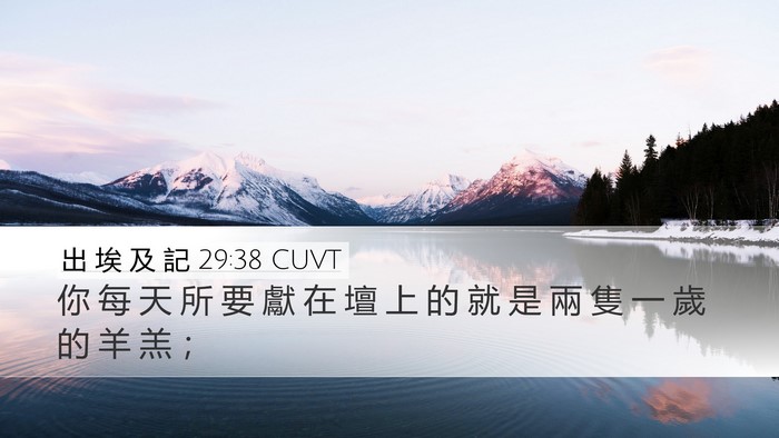 出 埃 及 記 29:38 CUVT Bible Verse Image