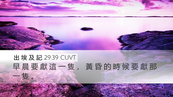 出 埃 及 記 29:39 CUVT Bible Verse Image
