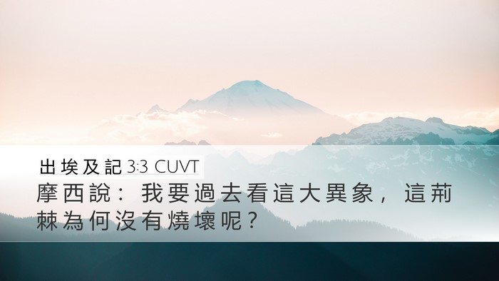 出 埃 及 記 3:3 CUVT Desktop Wallpaper - 摩 西 說 ： 我 要 過 去 看 這 大 異 - Desktop Bible Verse Wallpaper