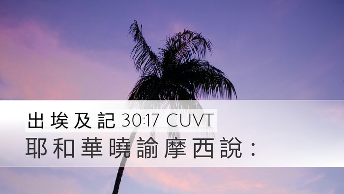 出 埃 及 記 30:17 CUVT Bible Verse Image