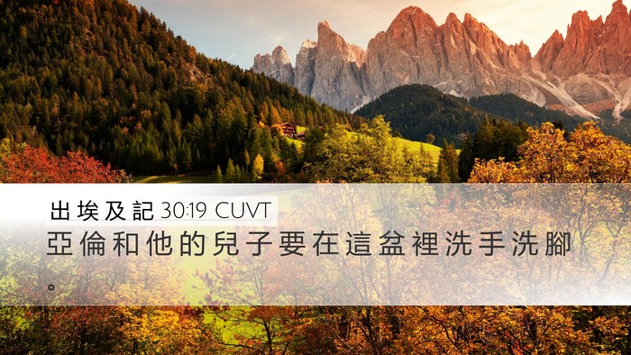 出 埃 及 記 30:19 CUVT Bible Verse Image