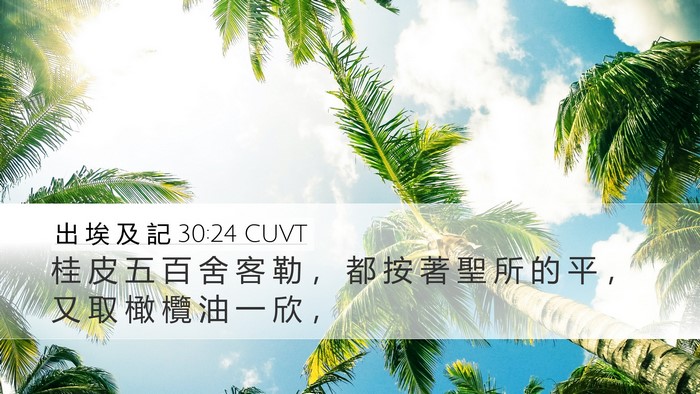 出 埃 及 記 30:24 CUVT Desktop Wallpaper - 桂 皮 五 百 舍 客 勒 ， 都 按 著 聖 - Desktop Bible Verse Wallpaper