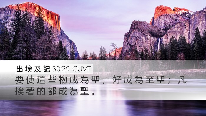出 埃 及 記 30:29 CUVT Bible Verse Image