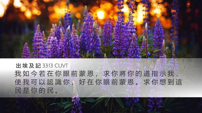 出 埃 及 記 33:13 CUVT Bible Verse Image