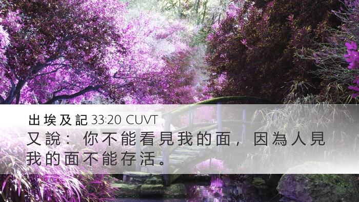 出 埃 及 記 33:20 CUVT Bible Verse Image