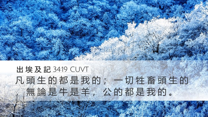 出 埃 及 記 34:19 CUVT Bible Verse Image