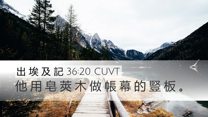 出 埃 及 記 36:20 CUVT Bible Verse Image