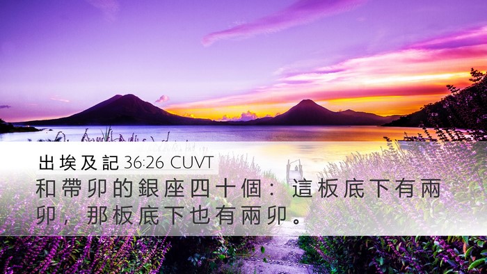 出 埃 及 記 36:26 CUVT Desktop Wallpaper - 和 帶 卯 的 銀 座 四 十 個 ： 這 板 - Desktop Bible Verse Wallpaper