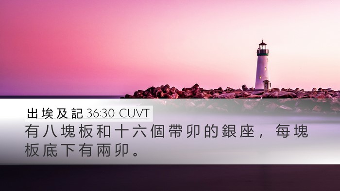 出 埃 及 記 36:30 CUVT Desktop Wallpaper - 有 八 塊 板 和 十 六 個 帶 卯 的 銀 - Desktop Bible Verse Wallpaper