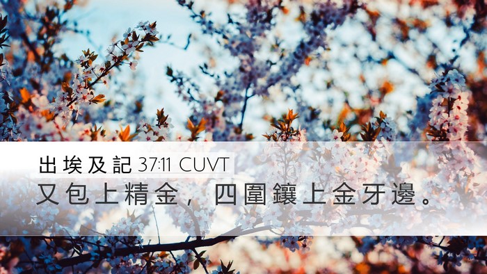 出 埃 及 記 37:11 CUVT Desktop Wallpaper - 又 包 上 精 金 ， 四 圍 鑲 上 金 牙 - Desktop Bible Verse Wallpaper