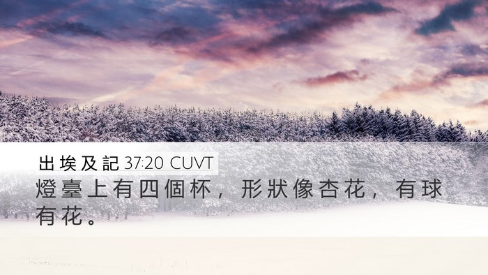 出 埃 及 記 37:20 CUVT Bible Verse Image
